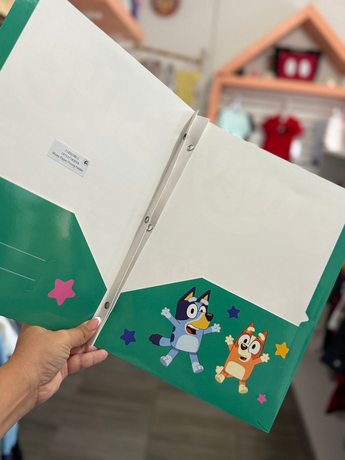 Folder de bluey