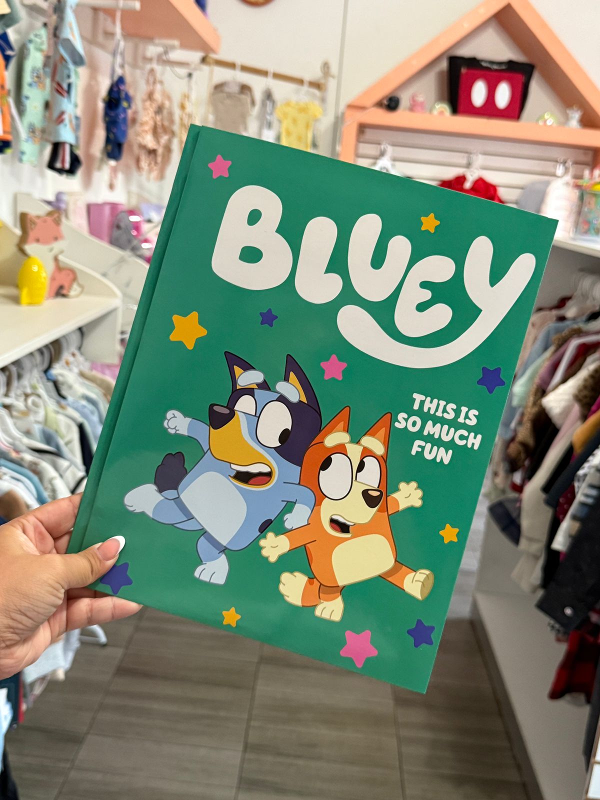 Folder de bluey